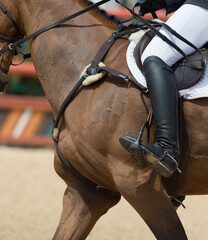 horseback rider riding in show jumping competition close cropped to show proper seat and leg...