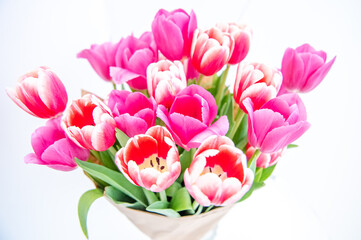 Obraz premium Bouquet of spring pink tulips wrapped in paper for a gift isolated on a white background