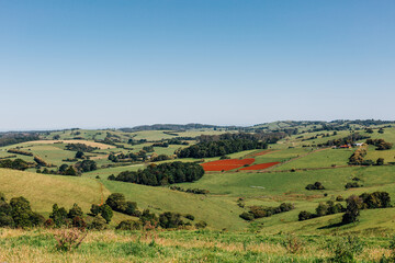 Fototapeta premium landscape in region country