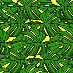 Fototapeta na wymiar Monstera leaf seamless tropical pattern. Vector stock illustration eps 10. 