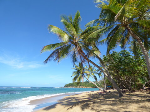 Plage de l'Anse l'Etang Tartane Martinique