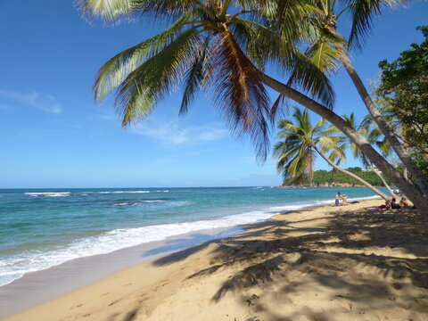 Plage de l'Anse l'Etang Martinique Tartane la Trinit&eacute;