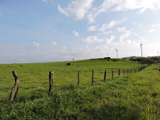 Fototapeta na wymiar landscape with fence and wind turbines