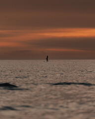 Sap surfer at sunset on the sea