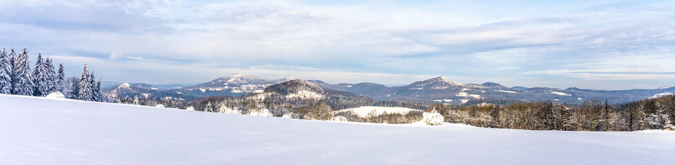 Fototapeta na wymiar Freezy and snowy wintertime landscape