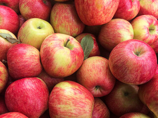 Fototapeta na wymiar Farm Apples