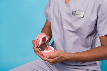 Dentist doctor, close-up of hands, on blue background. He holds a jaw and teeth in his hands. A snapshot of the teeth. Medical topics