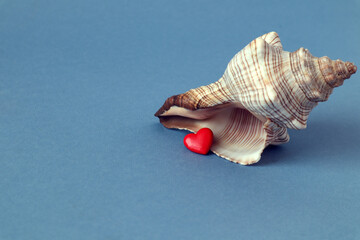 Banner :red heart with a large seashell on a blue background, space for text