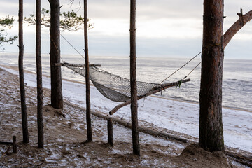 Baltic Sea beach where small pine branches are equipped with a hammock