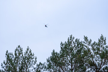 a helicopter flies over the green tops of the pine trees