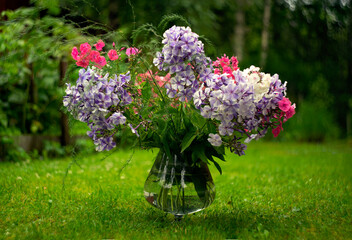 Bouquet of fresh, summer flowers in a glass vase on the green grass