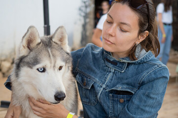 young woman and husky dog, stroke a furry pet © Alexander