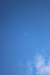 Mond bei Tageslicht