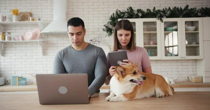 Young family couple surfs internet with laptop and tablet while adorable red corgi dog lies on wooden table in kitchen slow motion