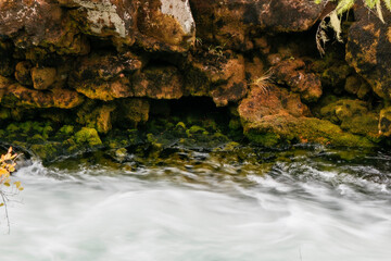 waterfall in the forest