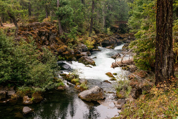 Obraz premium river in the forest