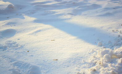 Clear glowing texture of the fluffy snow.