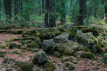 moss covered rocks