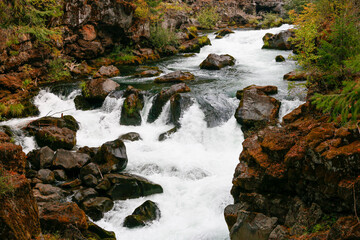 waterfall in the forest