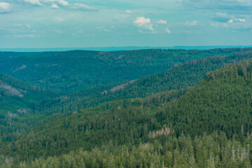 The Black Forest of Germany