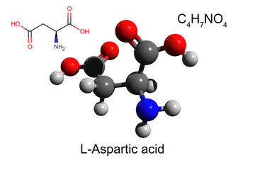 Chemical formula, structural formula and 3D ball-and-stick model of L-aspartic acid, white background