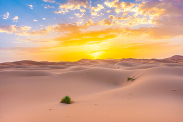 Obraz na płótnie Canvas Beautiful dawn in the Sahara Desert, Morocco