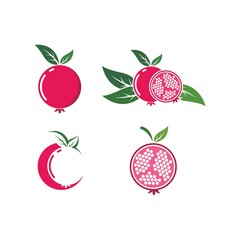 pomegranate fruits  icon vector illustration design