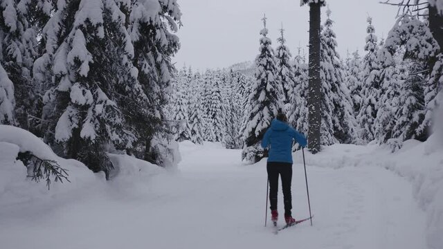 Slow motion shot of Professional athlethe cross country skier running on skis trough the frozeen forest covered in snow