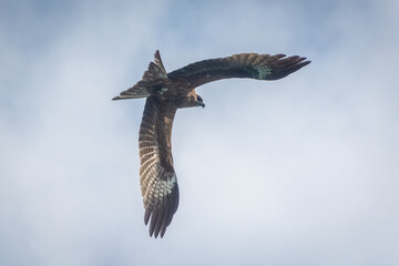 Ha Long Bay landscape, Vietnam