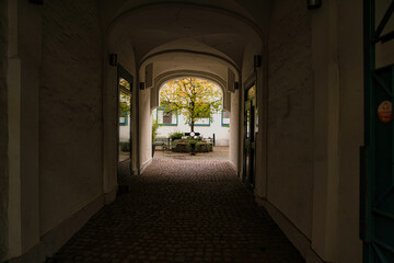 建物のアーチ状の通路の奥に見える木