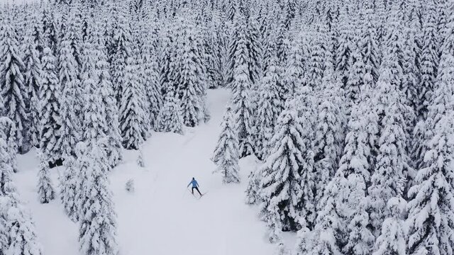 Aerial shot of Professional athlethe cross country skier running on skis trough the frozen forest covered in snow