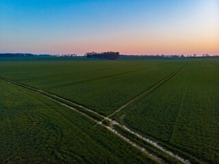 Fototapeta na wymiar Aerial drone view to long paths between huge fields at sunny morning