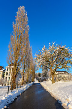Schloss und Kloster Hegne in der Gemeinde Allensbach am Bodensee