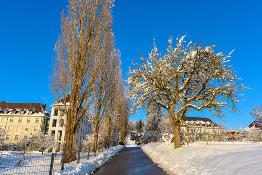 Schloss und Kloster Hegne in der Gemeinde Allensbach am Bodensee