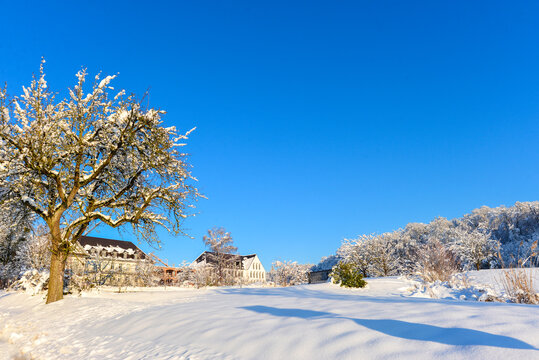 Schloss und Kloster Hegne in der Gemeinde Allensbach am Bodensee