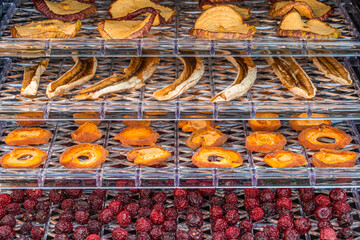 Dried fruit inside a home electric dehydrator