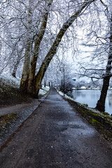 Morning in park full of snow and paths with trees around