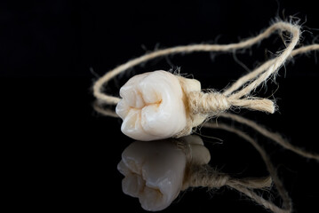 Tooth extracting method. Real human wisdom tooth hanging on thread