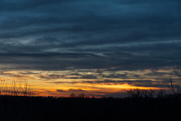 Obraz premium sunset in the field