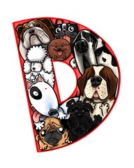D- DogThe initial letter of the word dog  is the starting point for all dog breeds.