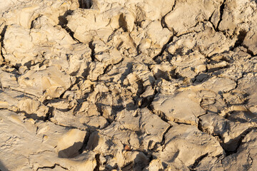 Texture of dry and dehydrated ground surface with cracks.