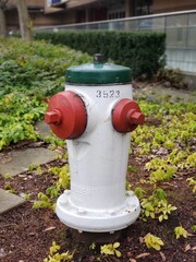 Fototapeta na wymiar red fire hydrant in a park