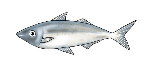 illustration of horse mackerel fish on white 