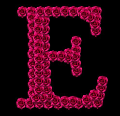romantic concept image of a capital letter E made of red roses. Isolated on black background. Design element for love or valentines themes