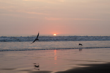 Naklejka premium sunset on the beach