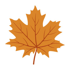 Fototapeta premium Maple leaves. Autumn colors.