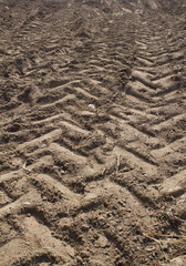 Tire tracks on dirt road.