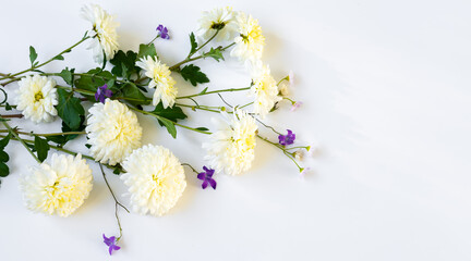 White chrysanthemums and wildflowers on white background with copy space
