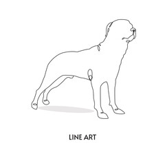 continuous line drawing of cute dog. Vector illustration