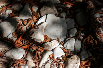 Dry orange leaves fell from the tree onto white stones. Autumn leaves lie in the shade among the white stones.
